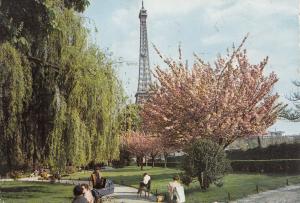 BF20060 paris la tour eiffel vue des jardins  france  front/back image