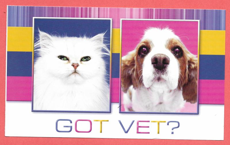 Cat and Dog - Got Vet? Used