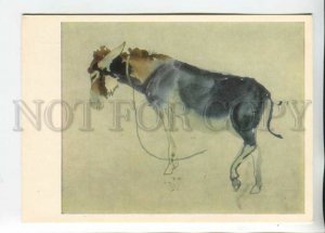 468994 USSR 1973 year Nikolai Kupriyanov Baku donkey postcard