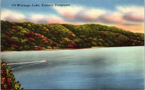 Watauga Lake Eastern Tennessee TN TVA Dam Elizabethton Linen Postcard VTG UNP 