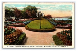 Flower Beds on River Common Wilkes-Barre Pennsylvania PA UNP WB Postcard N20