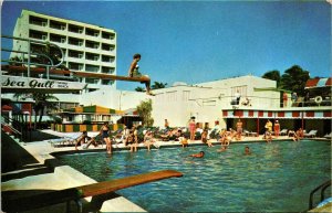 Sea Gull Hotel Pool Cabana Colony Miami Beach Florida FL Swimming VTG Postcard 