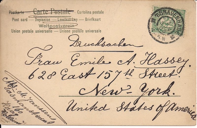 Hunting Dog with Fox 1903 Animals, Artist's View