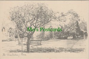 Somerset Postcard - The Glastonbury Thorn Tree RS28222