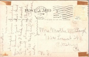 Mineral Springs Garfield Park Cleveland Ohio OH Antique Postcard DB PM WOB Note 