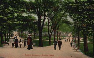 Vintage Postcard Boston Common Family Park Trails Picnics Boston Massachusetts
