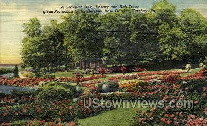 Hershey Rose Gardens - Pennsylvania
