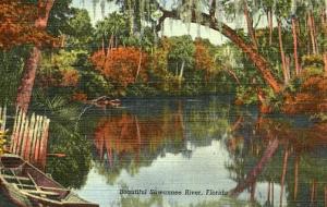 FL - Suwannee River