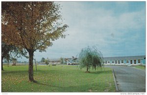 Maple Farms Motel, ANCASTER, Ontario, Canada, 40-60´