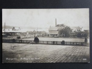 Invergordon: A Peep to the West c1905 RP showing Bowling Green & Tennis Court