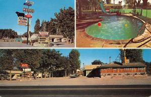 Lovelock Nevada Sturgeons Log Cabin Motel Vintage Postcard K41752