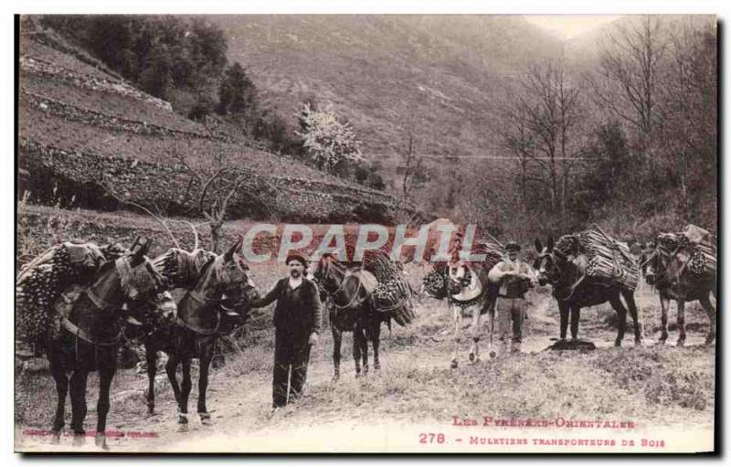 VINTAGE POSTCARD Drill Eastern Pyrenees Folklore conveying w