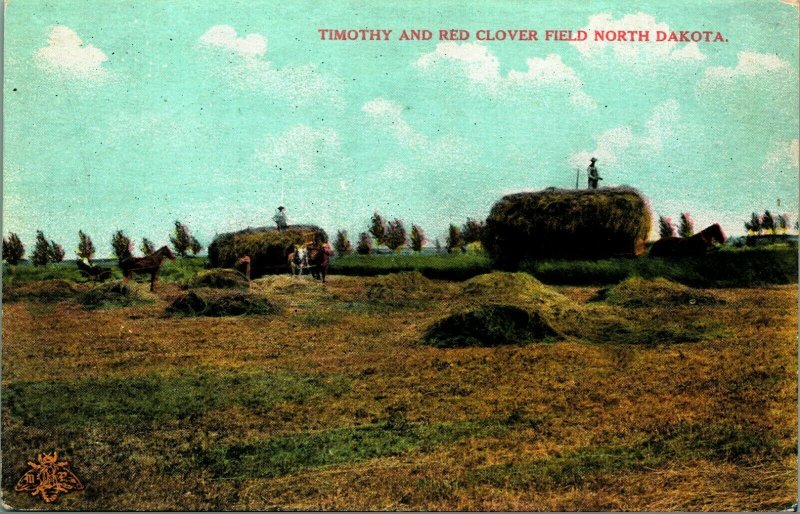 Timothy &  Red Clover Field North Dakota ND UNP 1910s DB Postcard Agriculture P9