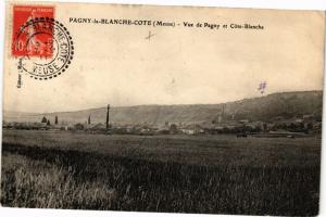 CPA Pagny la Blanche Cote-Vue de Pagny et Cóte Blanche (231657)