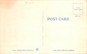 Canoeing Buffalo, New York Postcard