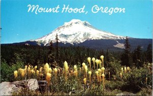 Mount Hood Oregon Scenic Mountain Landscape Flowers Forest Chrome Postcard 