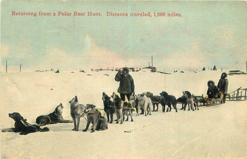 ALASKA C-1910 Eskimo Dog Sled Team Lowman Hanford Polar Bear Hunt 3601