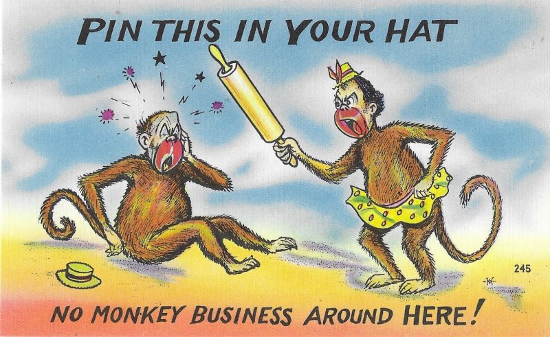 Pin This in Your Hat No Monkey Business Around Here!