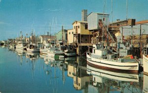 Fishing Fleet NEWPORT BEACH, CA Balboa Bay Orange County c1950s Vintage Postcard