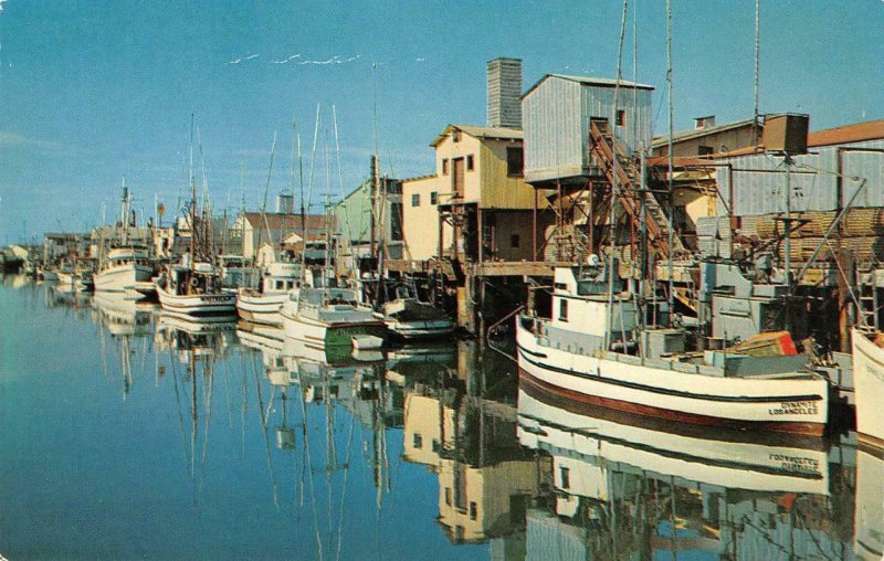 Fishing Fleet NEWPORT BEACH, CA Balboa Bay Orange County c1950s Vintage Postcard