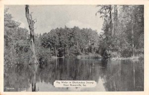 Homerville Georgia Okefenokee Swamp Scenic View Vintage Postcard JF685048