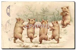 Postcard Old Pig Pig