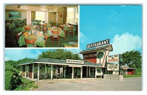 PIGEON FORGE, TN Tennessee ~ Roadside APPLE TREE INN 1969 Sevier County Postcard