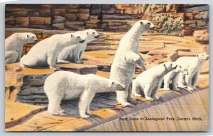 Detroit Michigan~Polar Bears In Den @ Zoological Park~Vintage Linen Postcard