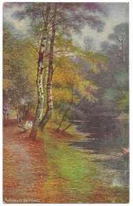 Raphael Tuck & Sons England Autumn in the Woods #9443 Oilette