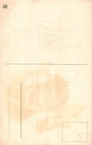 Pentecost Greetings Humanized Maybug Jar Ladybug vintage postcard C318