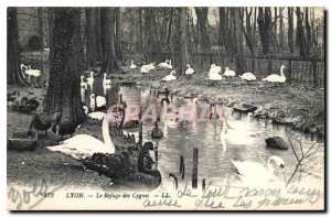 Postcard Old Lyon Le Refuge des Cygnes