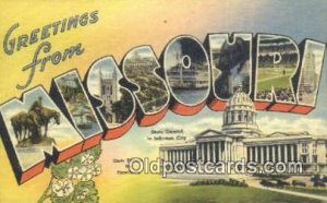 Hawthorn Missouri  USALarge Letter Postcard