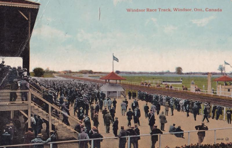 Windsor Race Track Ontario Horse Parade Area 1918 Canada WW1 Postcard