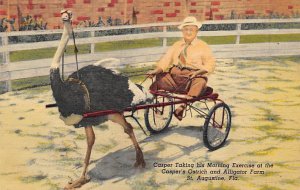 Casper's Ostrich and Alligator Farm Morning Exercise St Augustine FL