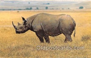 Rhino Postal Used Unknown 