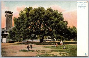 Vtg Mobile Alabama AL Live Oak Tree 1910s Raphael Tuck Postcard