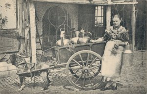 Belgium Laitière flamande Dog cart 03.74