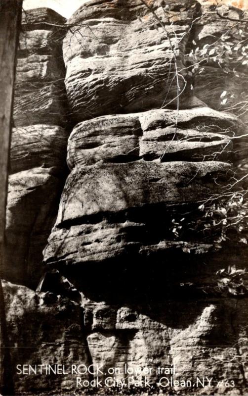 New York Olean Rock City Park Sentinel Rock On Lower Trail Real Photo