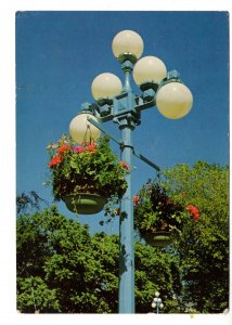 Flower Baskets, Victoria, British Columbia, Used 1979