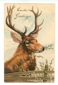 Greeting - Easter. Elk (Stag)     