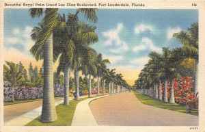 US6490 beautiful royal palm lined las olas boulevard fort lauderdale florida usa