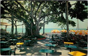 Postcard HOTEL SCENE Honolulu Hawaii HI AO1486