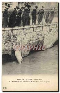 Old Postcard Bear Crue of the Seine Paris Garden plants Martin tale sorrows J...