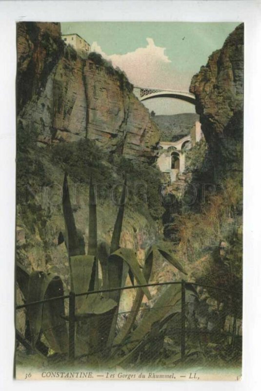 425827 ALGERIA CONSTANTINE Rhummel Gorges Vintage postcard