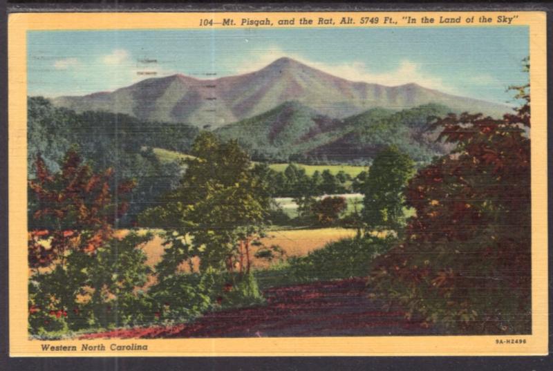 Mt Pisgah and the Rat,Western North Carolina BIN