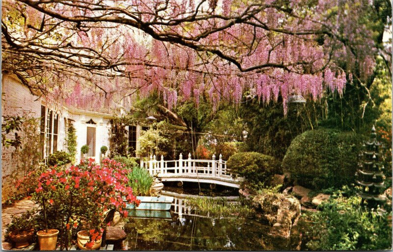 Vtg 1960s Douglas Chandor Garden Chinese Bridge Weatherford Texas TX Postcard