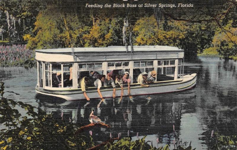 FL, Florida FEEDING BLACK BASS~GLASS BOTTOM BOAT~Silver Springs c1940's Postcard