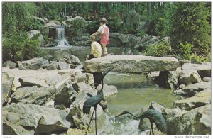 Waterfall, Japanese Gardens, BIRMINGHAM, Alabama, 40-60´s