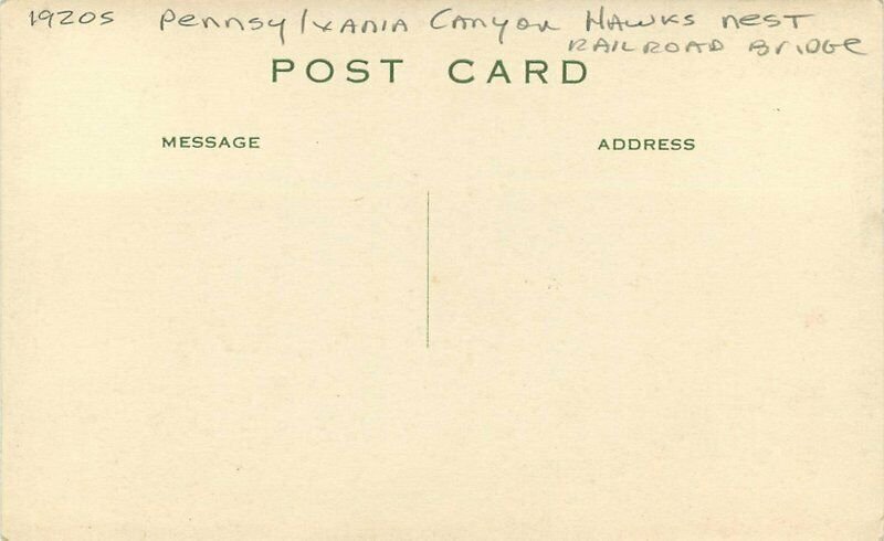 Pennsylvania 1920s Canyon Hawks Nests Railroad Bridge RPPC Postcard 21-14109