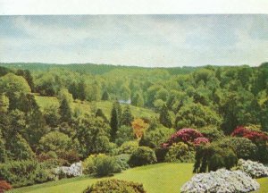 Sussex Postcard - View from Terrace - Leonardslee Gardens - Horsham  Ref TZ10542